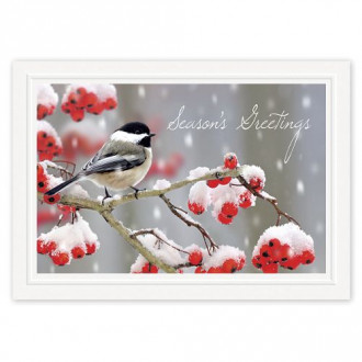 Tweet Greetings Holiday Cards