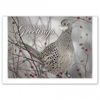 Feathered Friend Holiday Cards