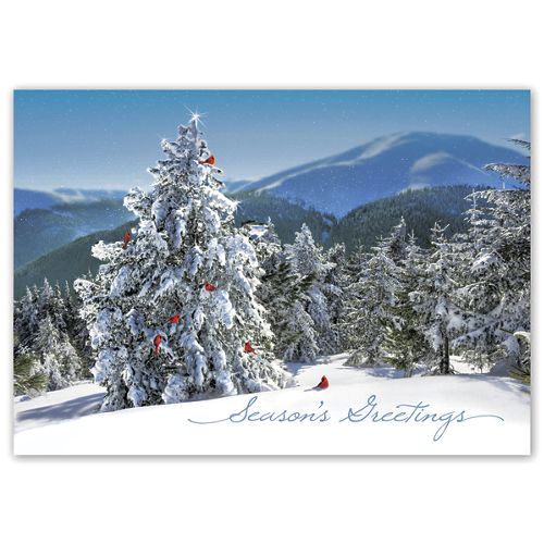 Fresh View Holiday Greeting Cards 